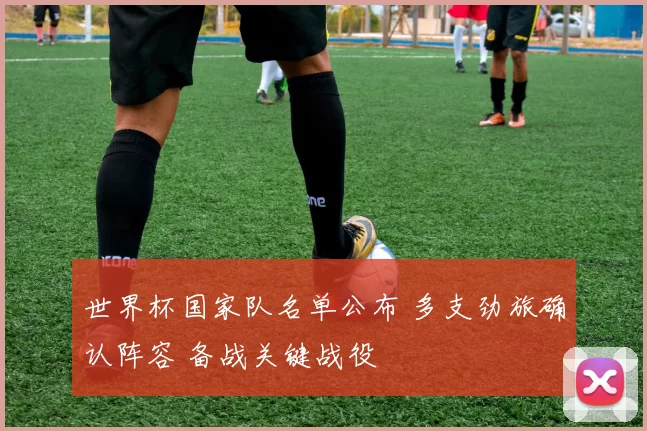 世界杯国家队名单公布 多支劲旅确认阵容 备战关键战役