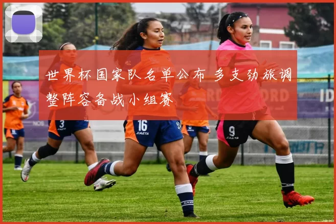 世界杯国家队名单公布 多支劲旅调整阵容备战小组赛