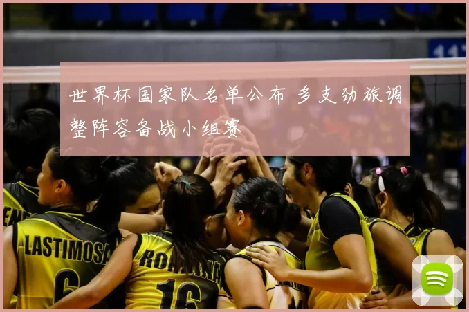 世界杯国家队名单公布 多支劲旅调整阵容备战小组赛