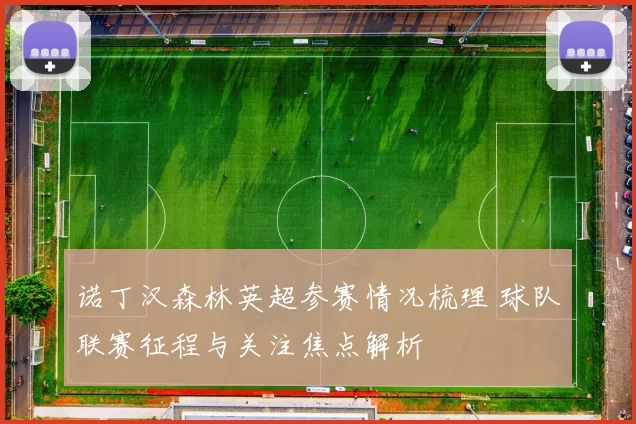 诺丁汉森林英超参赛情况梳理 球队联赛征程与关注焦点解析