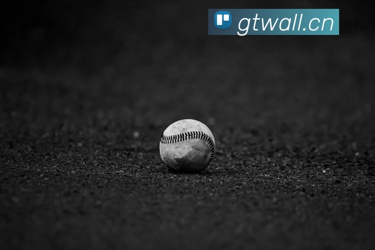 leyu乐鱼·官方web站登录入口 - 乐鱼(中国)发展历程